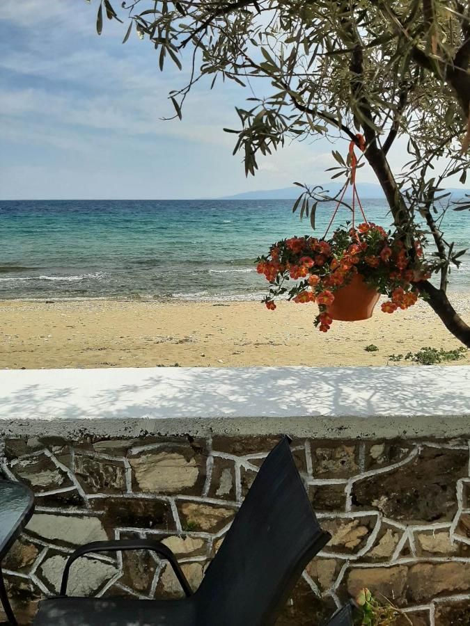 House Kokkalas On The Beach Pyrgadikia Exterior foto